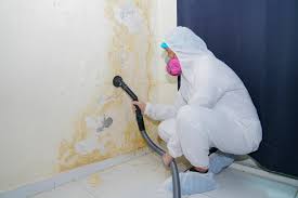 Why You Should Choose Our Mold Remediation Services in Thompsonville, PA